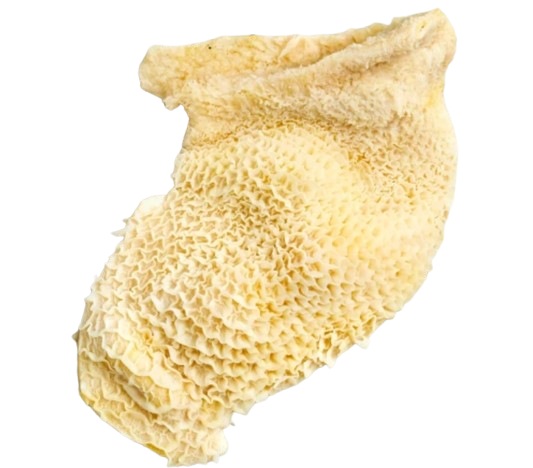 Shaki/Tripe